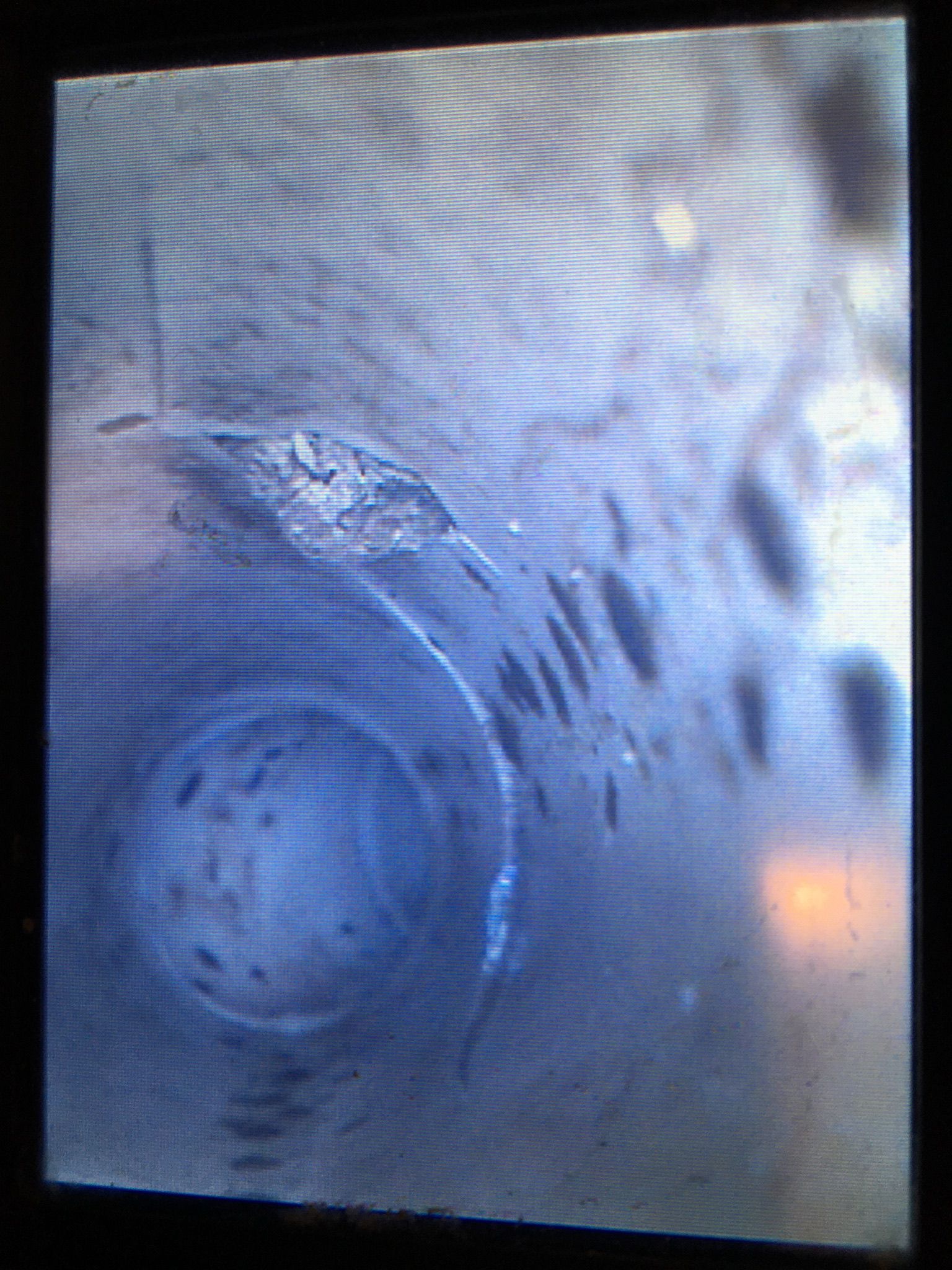 tekirdağ su tesisatçısı